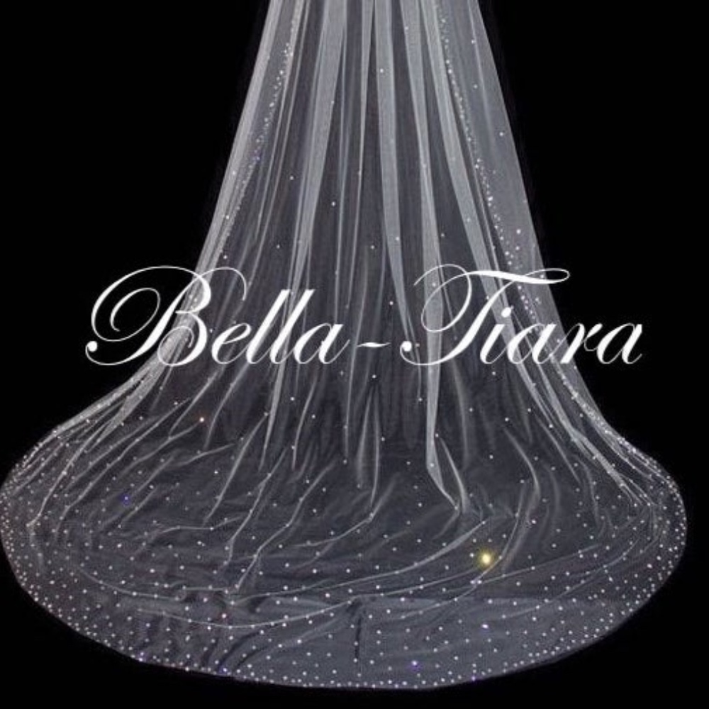 Cathedral crystal  wedding veil w/blusher